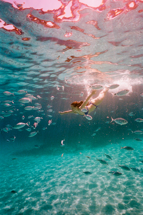 Nikonos III